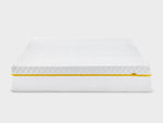 the premium mattress