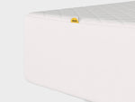 the ultimate mattress protector