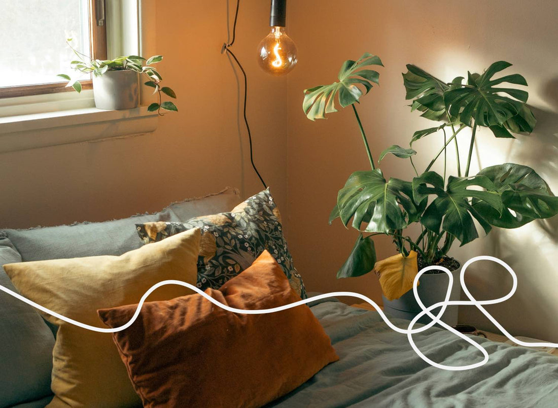 bringing the outdoors in: why your bedroom needs more *plants*