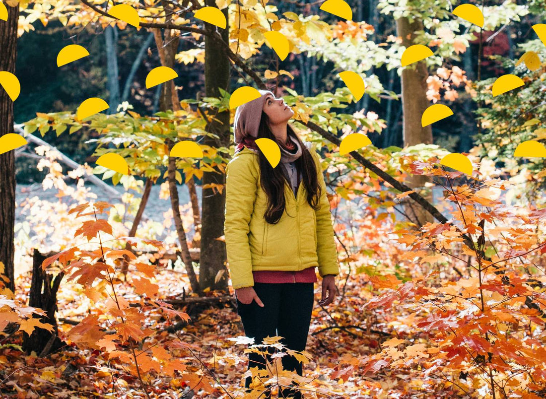 falling for fall: your ultimate *autumn* bucket list