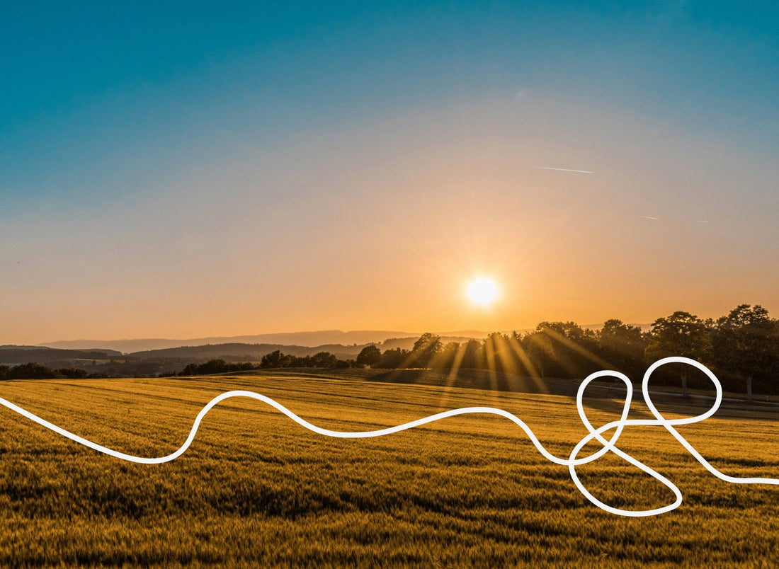 how to tell your body *bst is here*: adjusting to the clock change