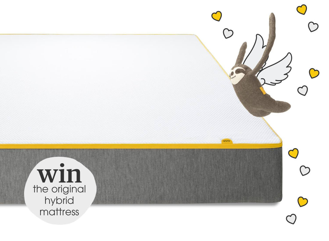 eve sleep *valentine's day* competition T&Cs