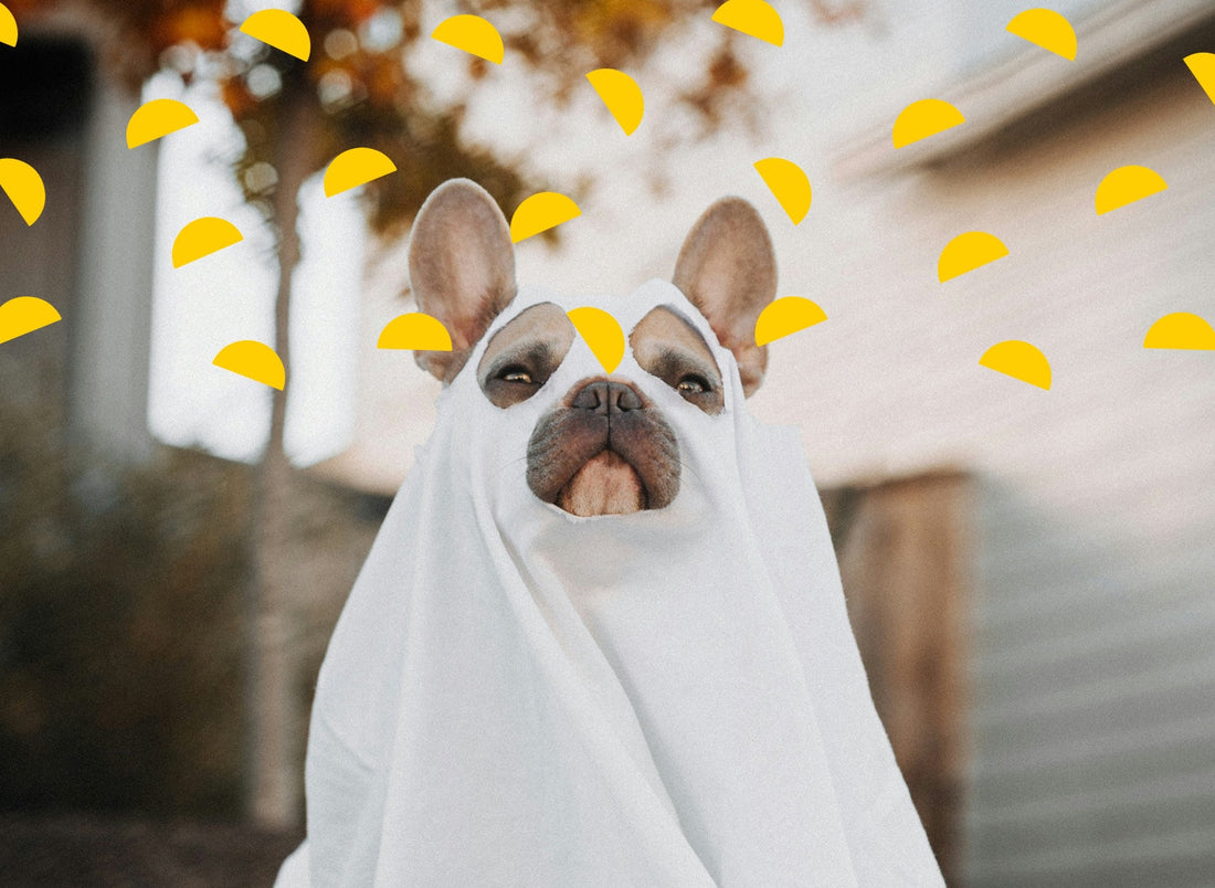 *upcycling* bed sheets: how to put old bedsheets to good use