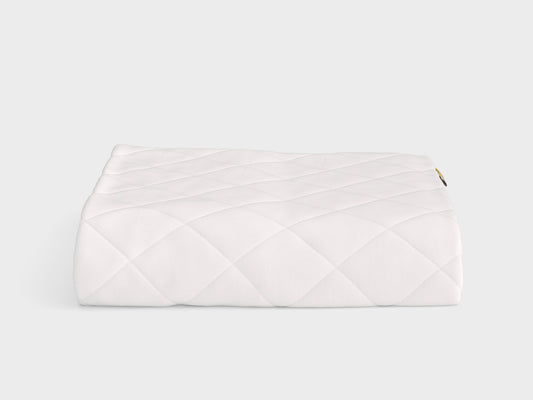 the ultimate mattress protector
