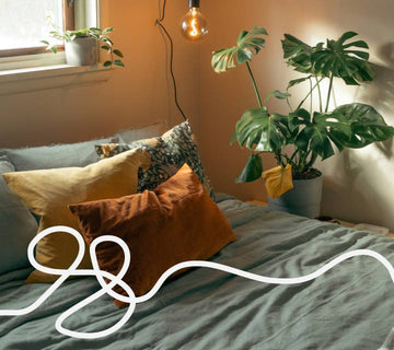 bringing the outdoors in: why your bedroom needs more *plants*