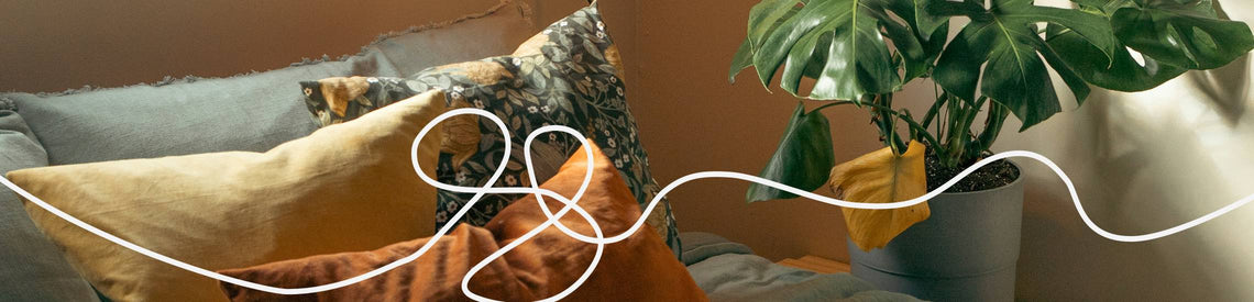 bringing the outdoors in: why your bedroom needs more *plants*