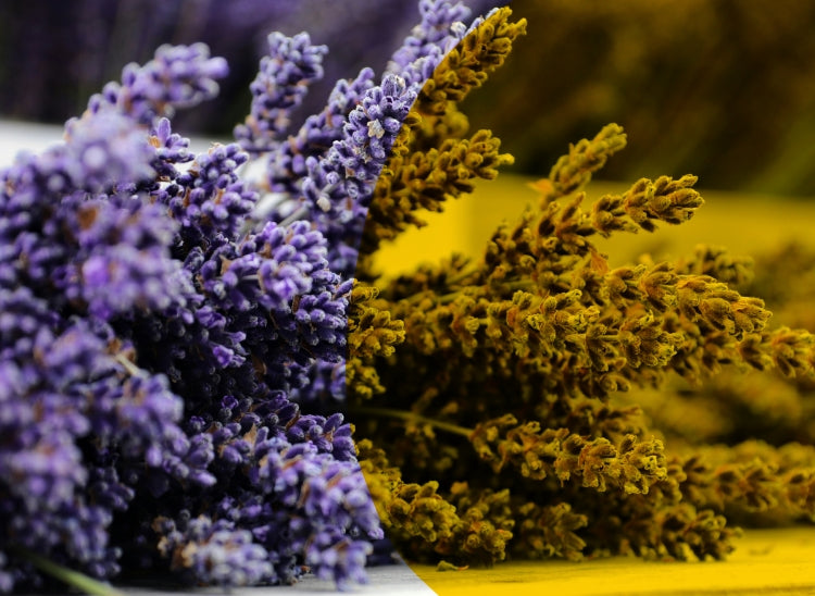 how to use *lavender oil* for sleep