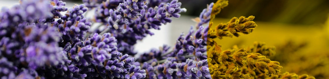 how to use *lavender oil* for sleep