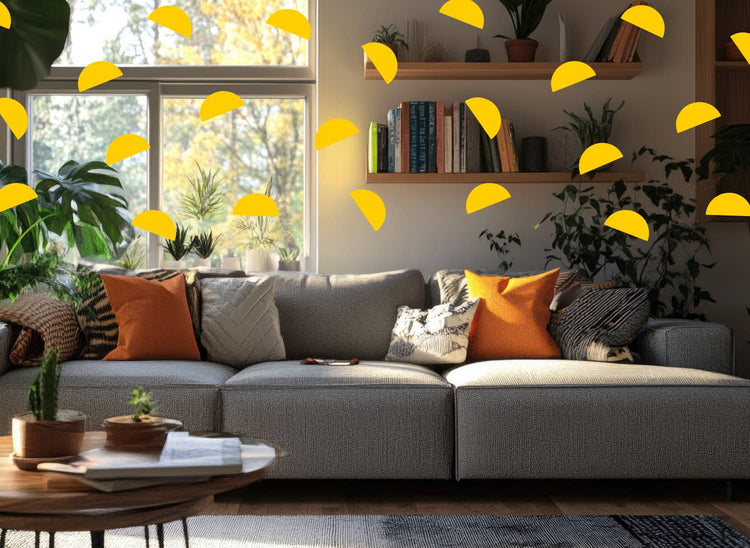 your bed vs your sofa: why one *always wins*
