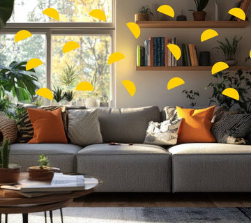 your bed vs your sofa: why one *always wins*