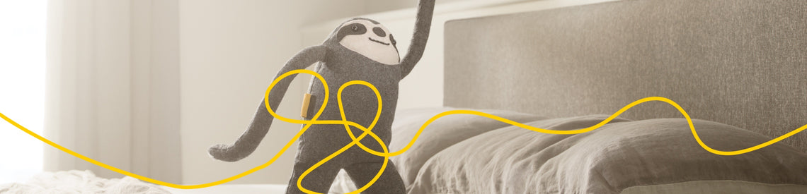 *international sloth day*: 10 facts you probably didn’t know about sloths