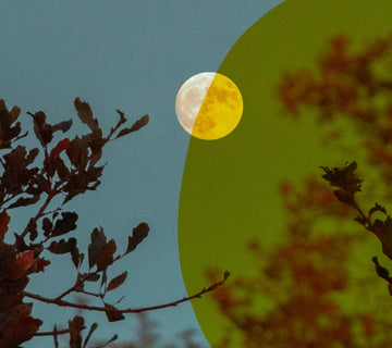 the lunar lullaby: how *moon phases may be influencing our sleep*