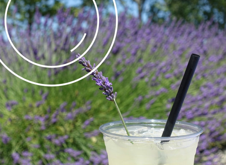 *bedtime mocktail recipes* to sip before surrendering to sleep