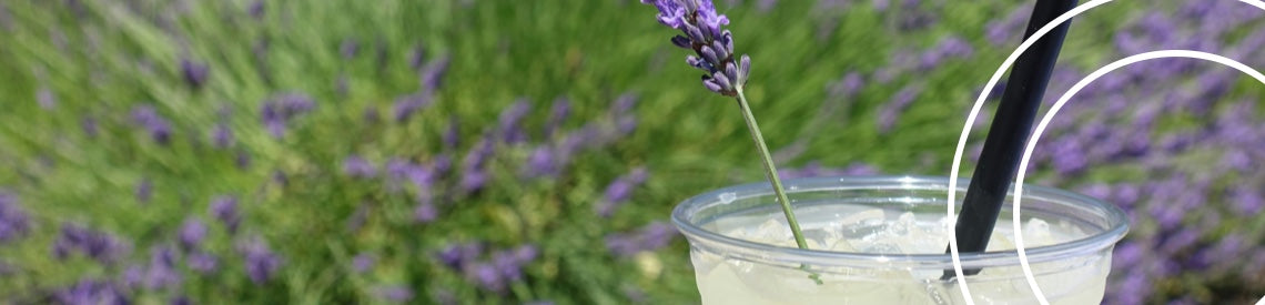 *bedtime mocktail recipes* to sip before surrendering to sleep