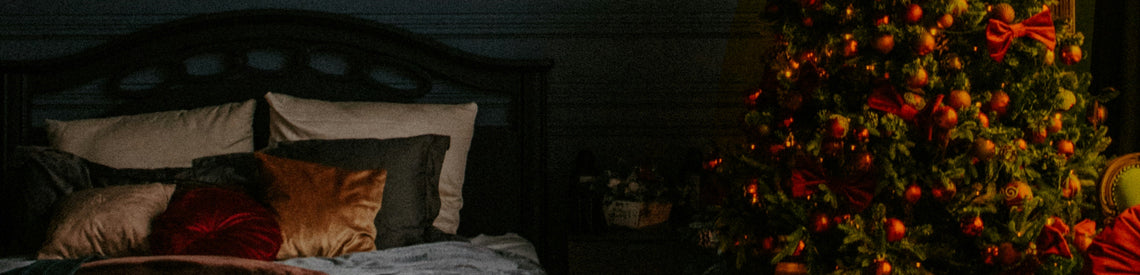 snoozing serenely around santa’s shenanigans: how to *stay sound asleep* while santa makes a racket