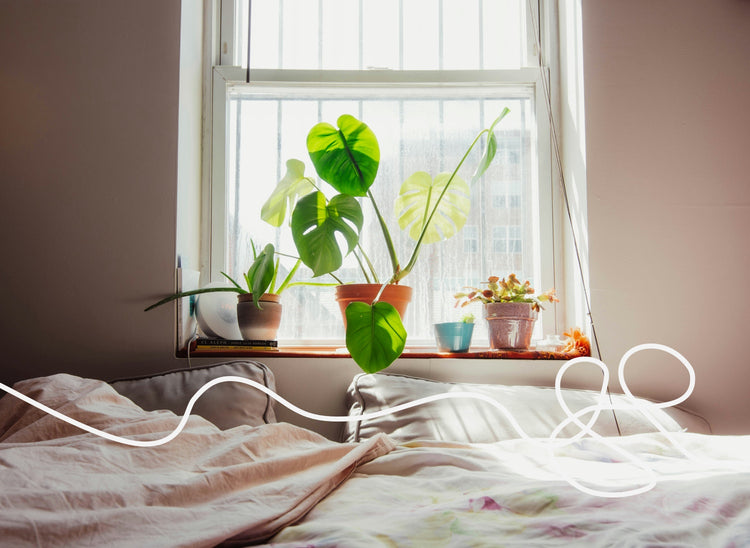 bringing the outdoors in: why your bedroom needs more *plants*