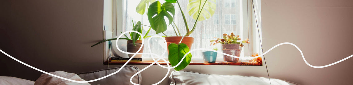bringing the outdoors in: why your bedroom needs more *plants*