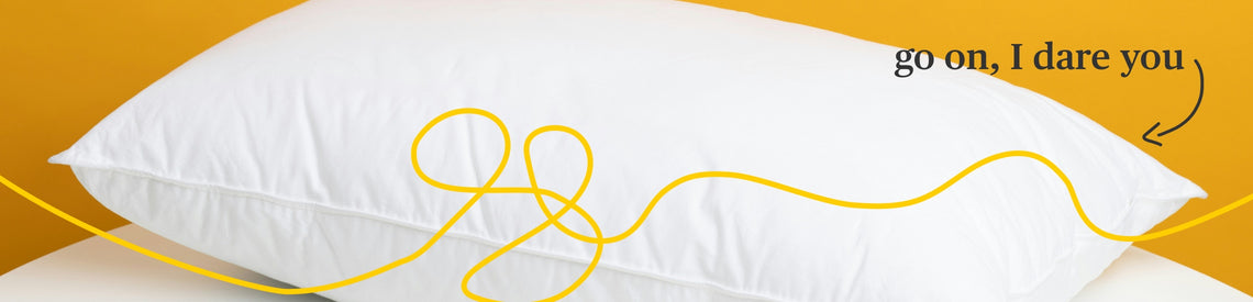 fluff, feathers and fun: everything you need to know this *pillow fight day*