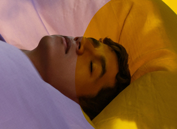 the symphony of *snores*: the world of nocturnal noisemakers