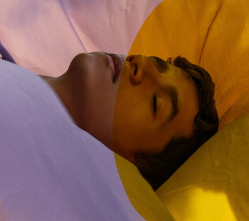the symphony of *snores*: the world of nocturnal noisemakers