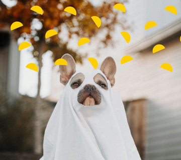 *upcycling* bed sheets: how to put old bedsheets to good use