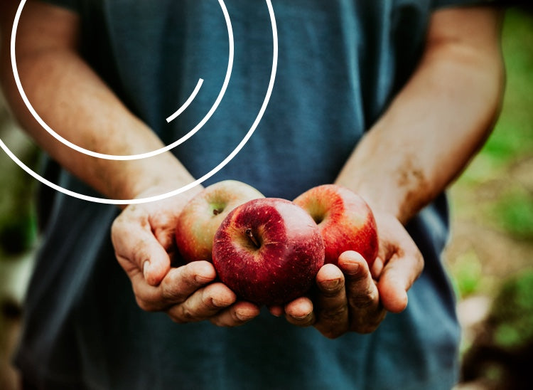 should you eat an *apple* before bed?