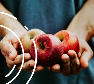 should you eat an *apple* before bed?