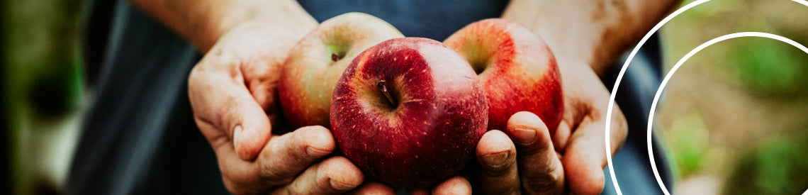should you eat an *apple* before bed?
