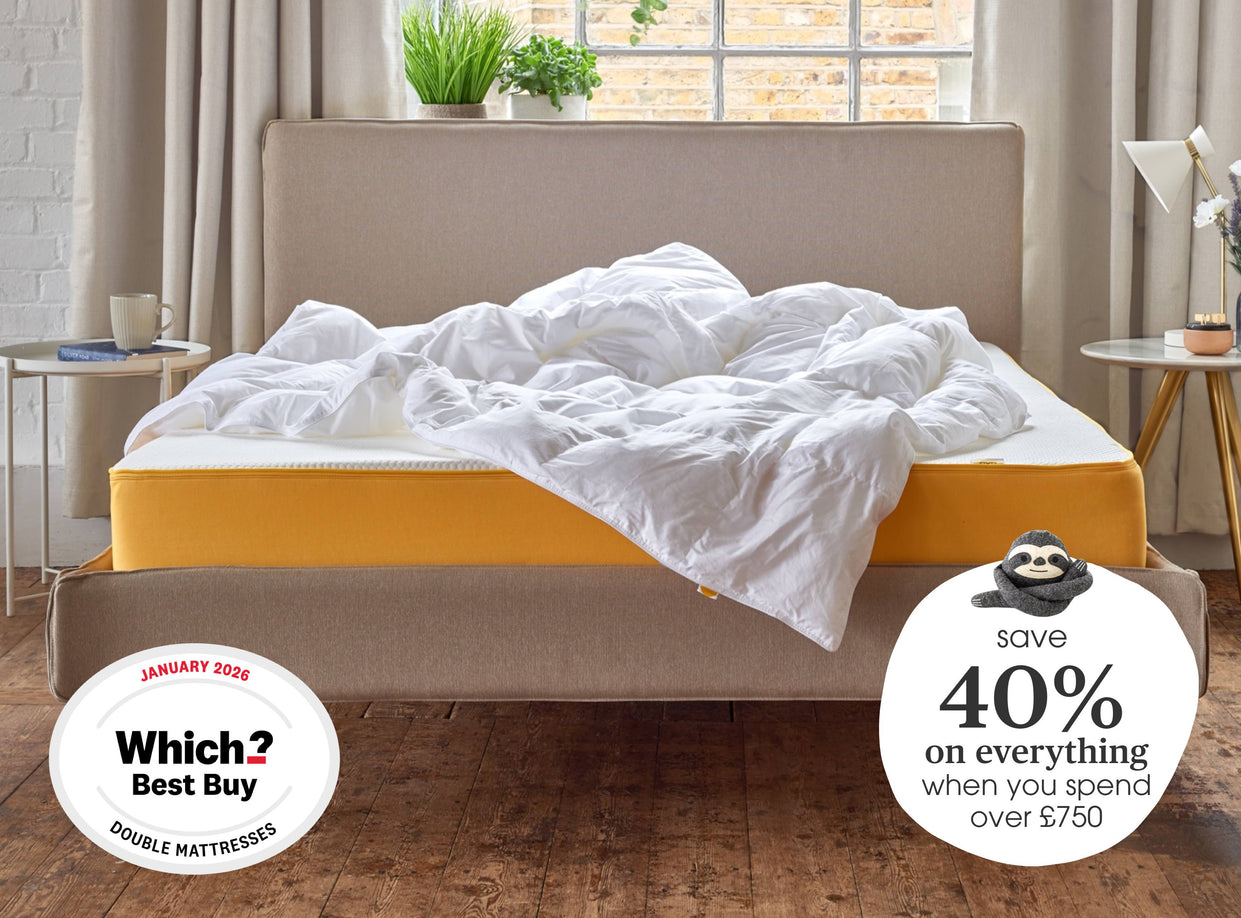 Banner image showing off eve products