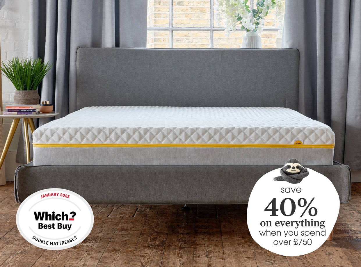 Banner image showing off eve products