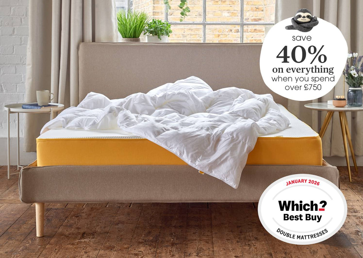 Banner image showing off eve products