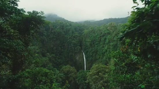 Trailer for the world's slowest relaxation and sleep video inspired by the sloth and created by eve