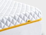 the premium mattress